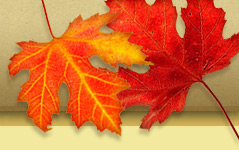 Masthead